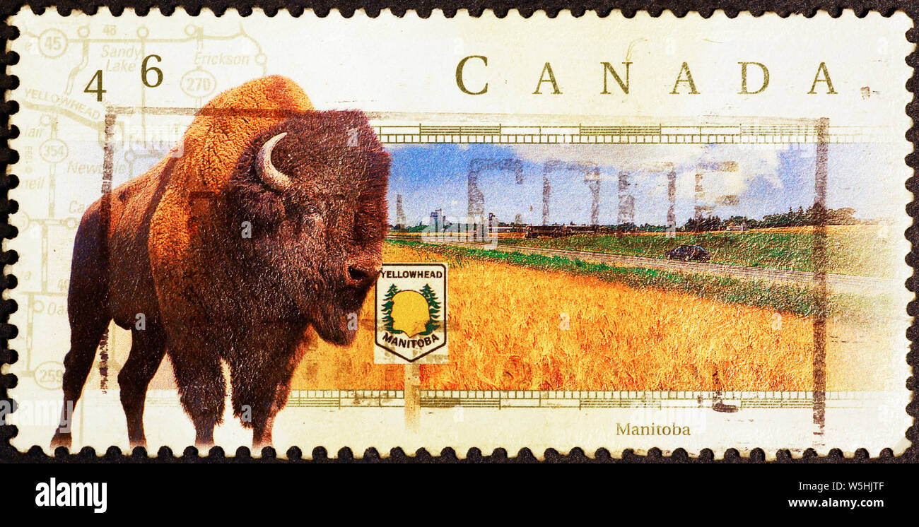 Bison on canadian postage stamp Stock Photo