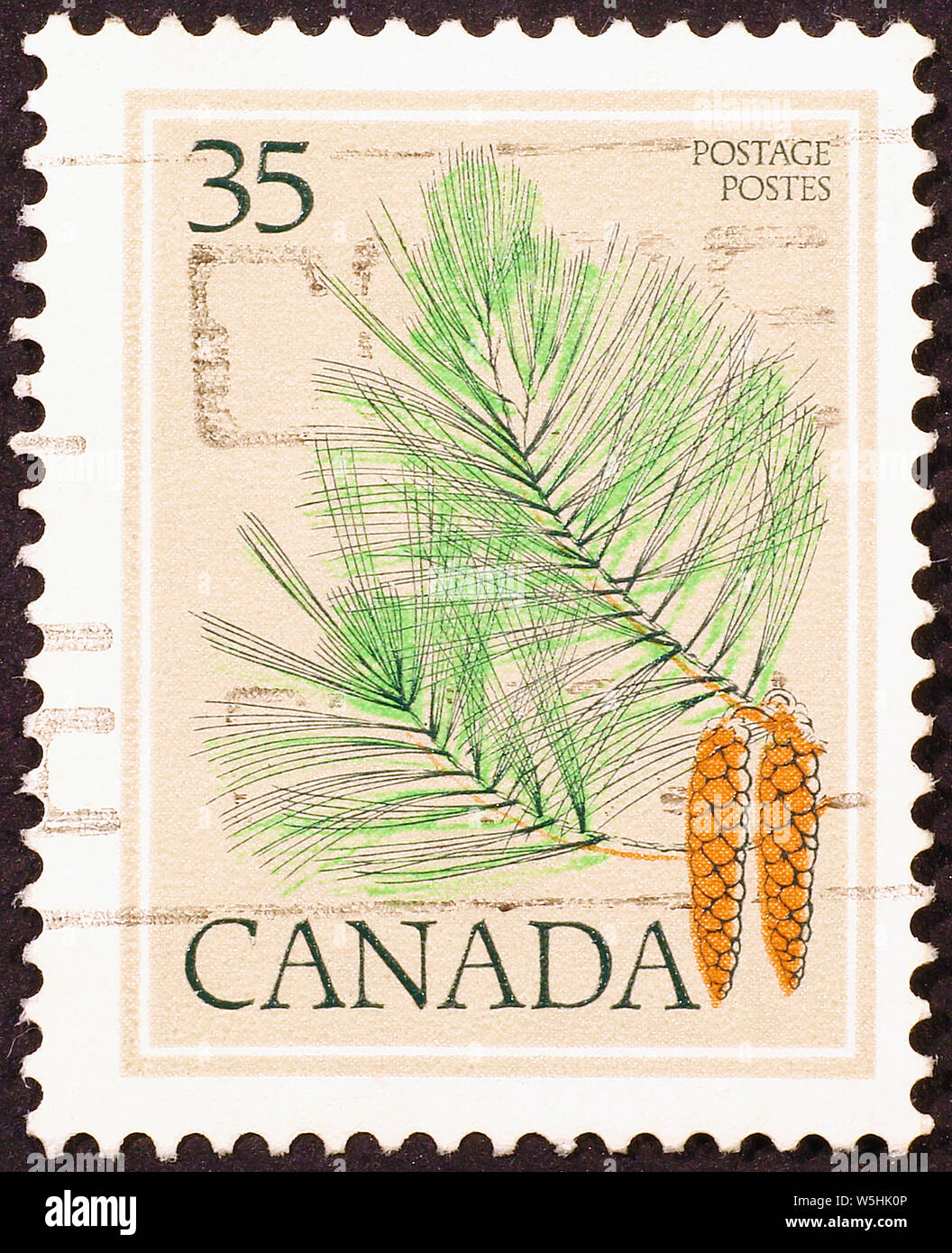 Douglas fir needles & cones on canadian stamp Stock Photo