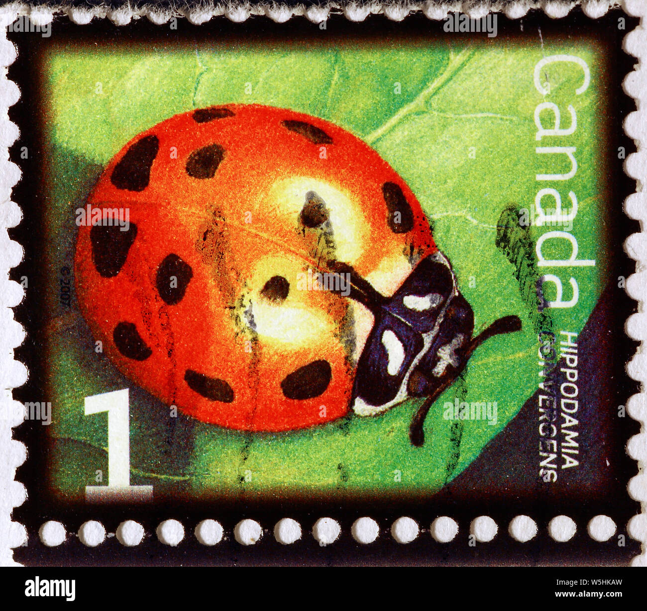 Ladybug on canadian postage stamp Stock Photo