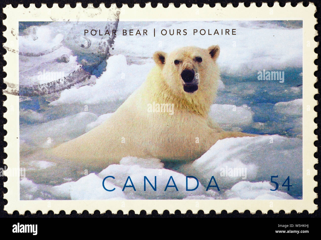 Polar bear swimming on canadian postage stamp Stock Photo - Alamy