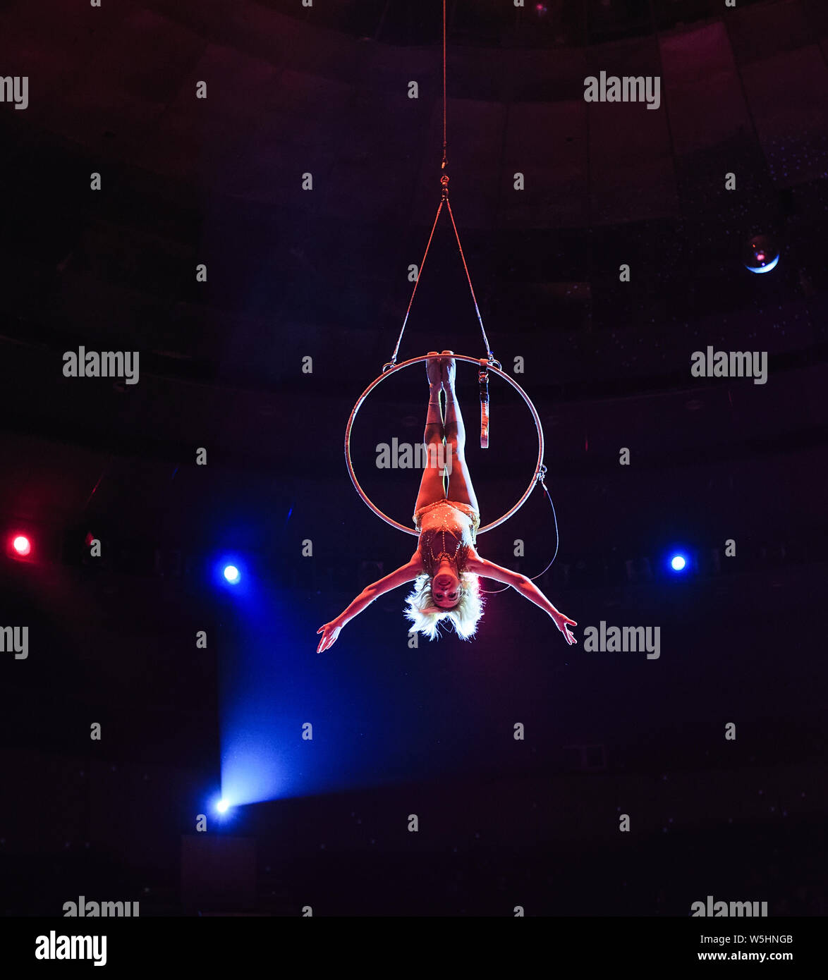 Aerial acrobat in the ring. A young girl performs the acrobatic ...