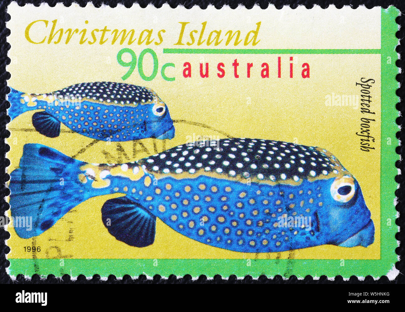 Two tropical fish on stamp of Christmas island Stock Photo