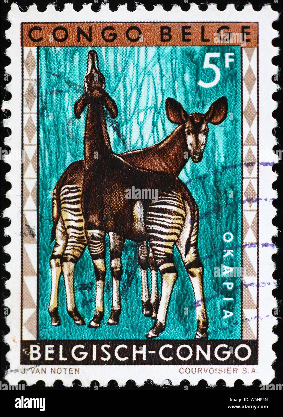 Okapis on vintage stamp of Belgian Congo Stock Photo