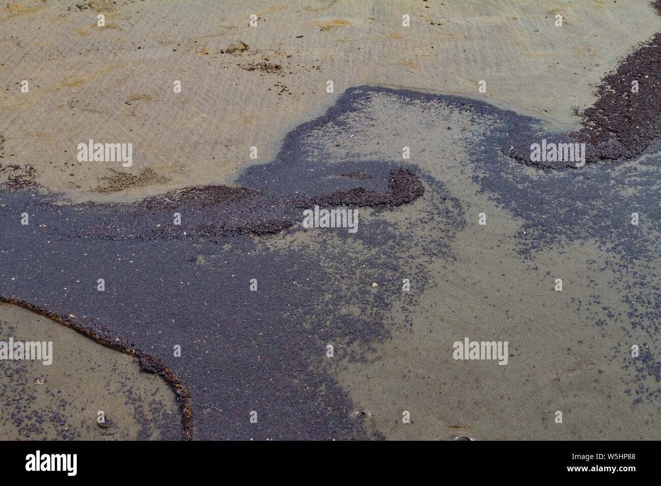 Petroleum products polluted ocean shore in India, Goa. Close up. Ecological disaster concept. Stock Photo