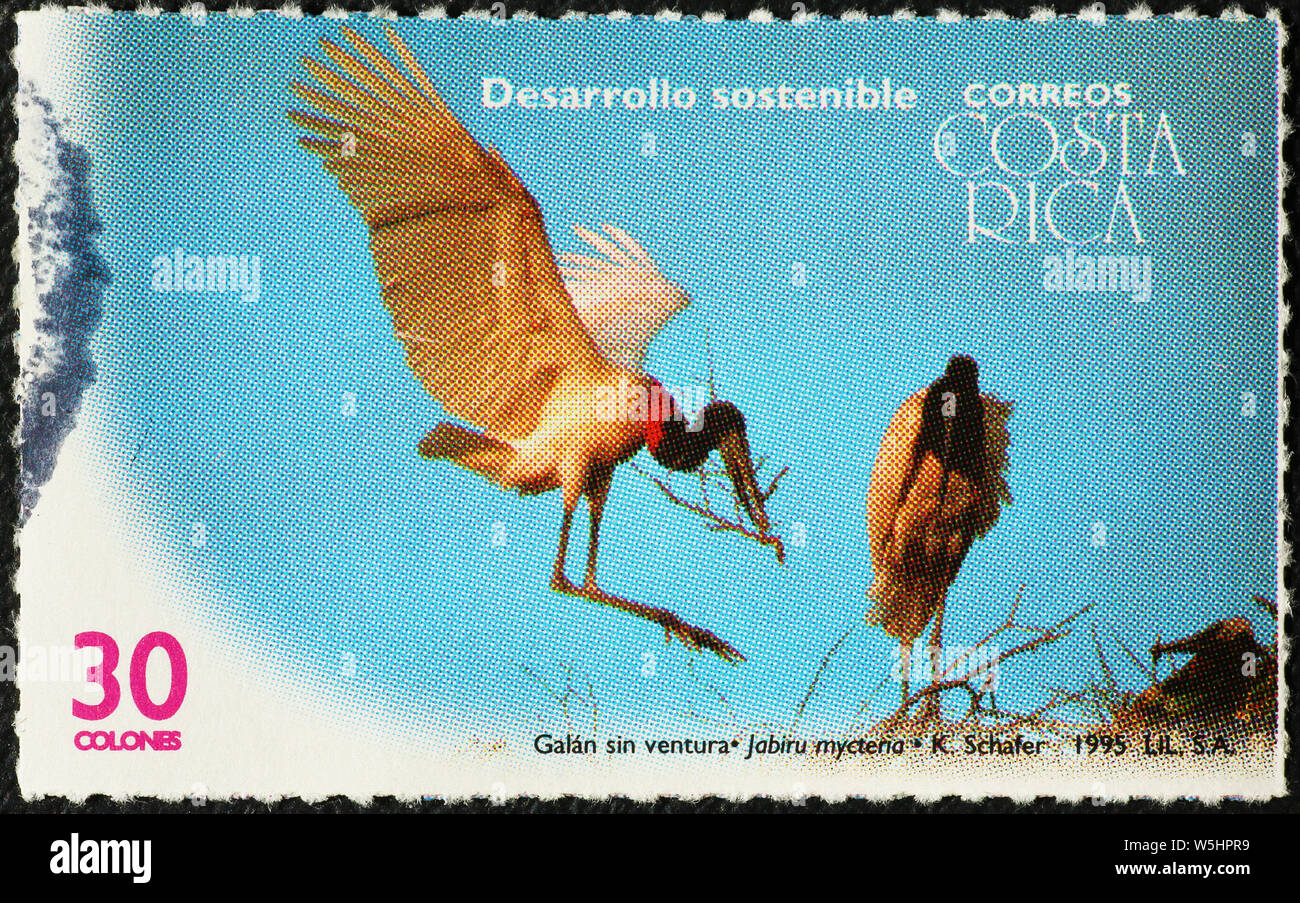 Jabiru storks on stamp of Costa Rica Stock Photo