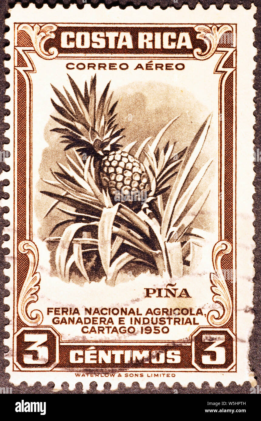 Pineapple plant on vintage postage stamp of Costa Rica Stock Photo