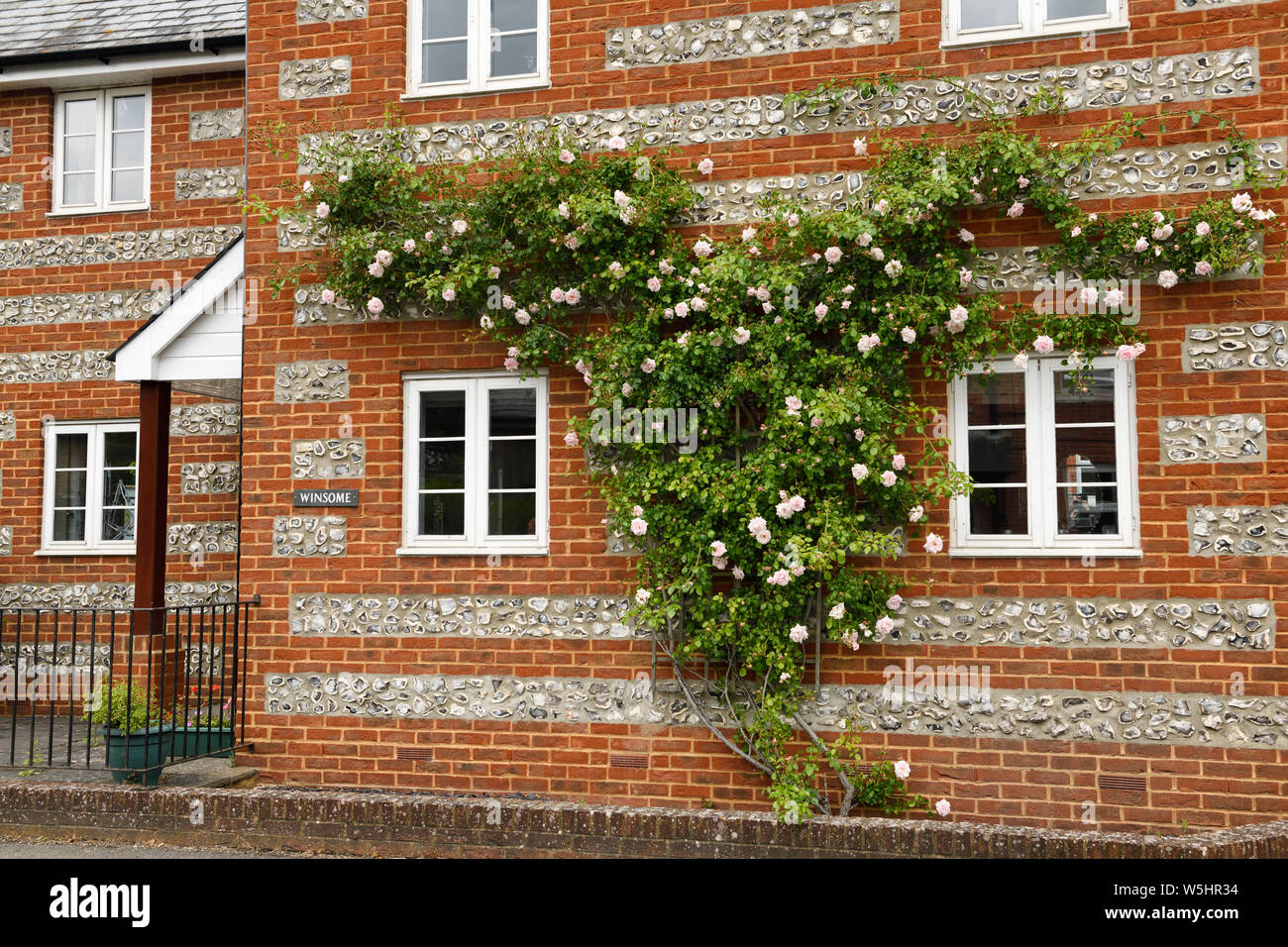 Red brick building embedded with split flint nodules and espaliered climbing rose in Salisbury England Stock Photo