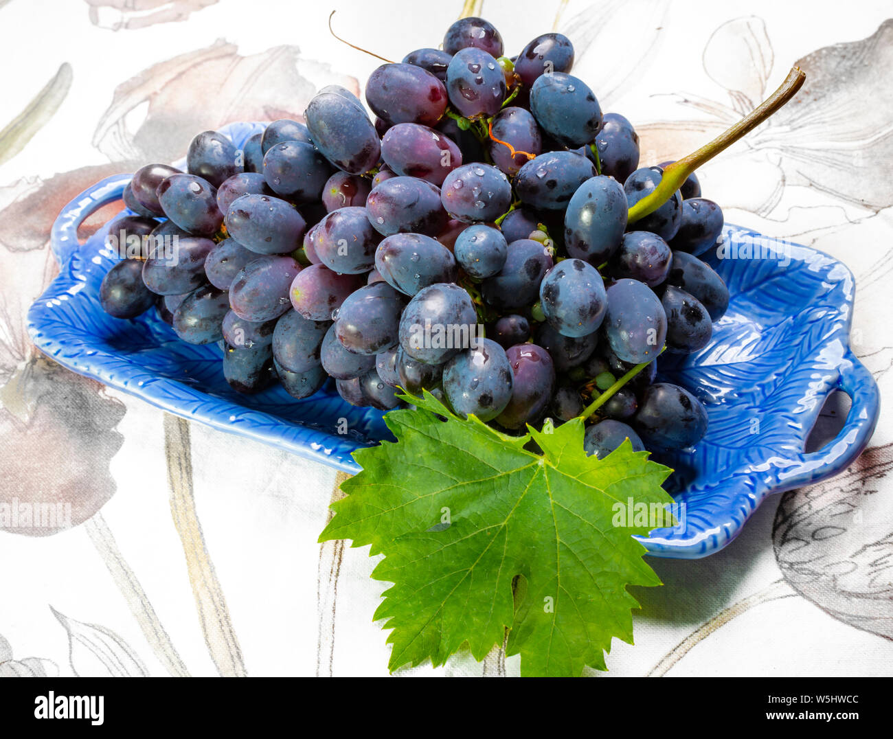 Bunch of ripe blueblack table grapes with leaf served on blue plate as