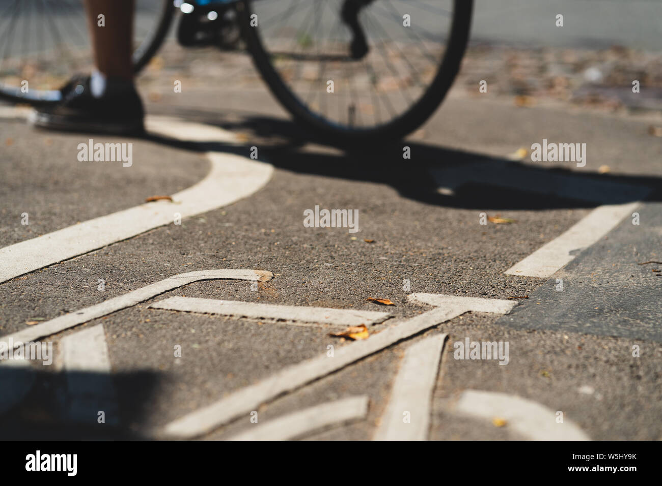 A cyclist stands on a bike path with a bicycle stencil on gray asphalt with yellow leaves in summer Stock Photo