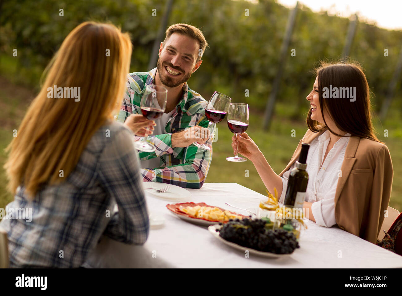 Group of young people sitting by the table and drinking red wine in the ...