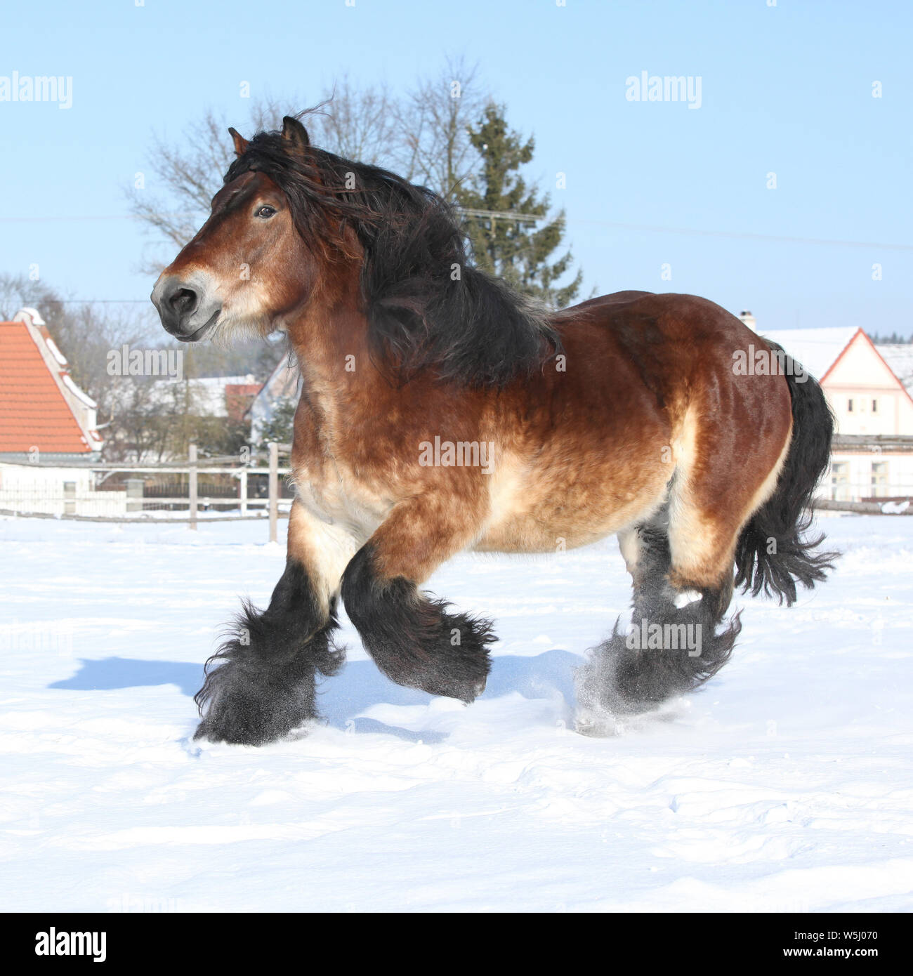 My Image 23