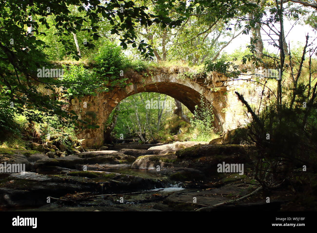 Puente de Rojadillo en Palencia, España. Rojadillo romans bridge in Palencia, Spain Stock Photo