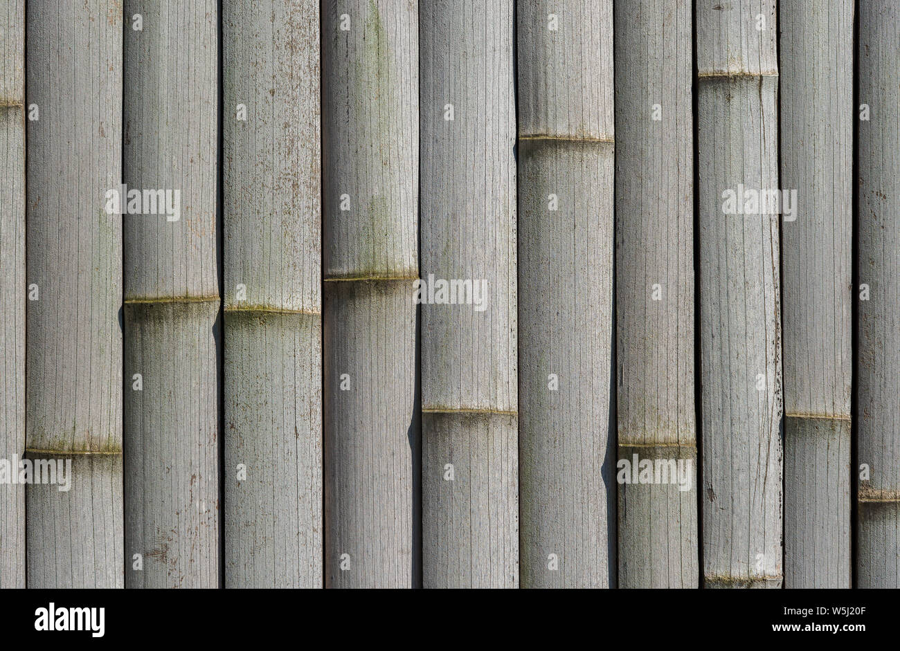 Old dried grey bamboo cane wall as background Stock Photo Alamy