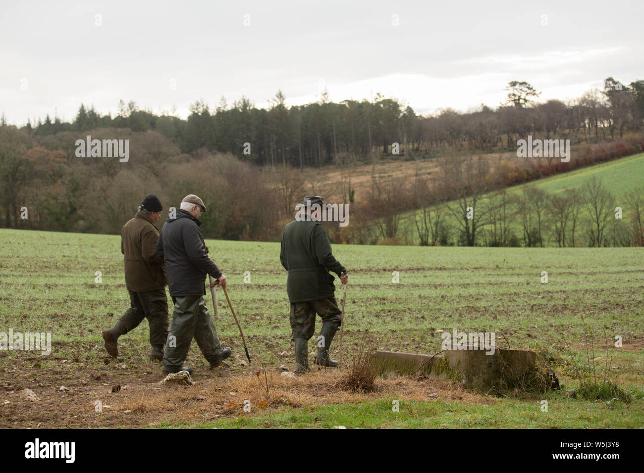 Beaters on a shoot hires stock photography and images Alamy