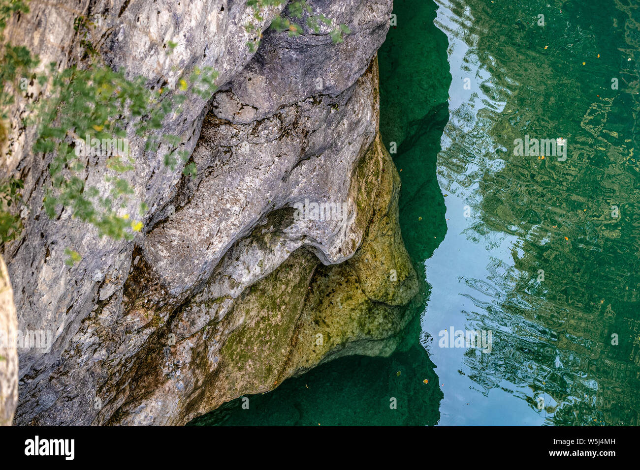 Italy Friuli Natural Reserve forraof the torrent Cellina Stock Photo
