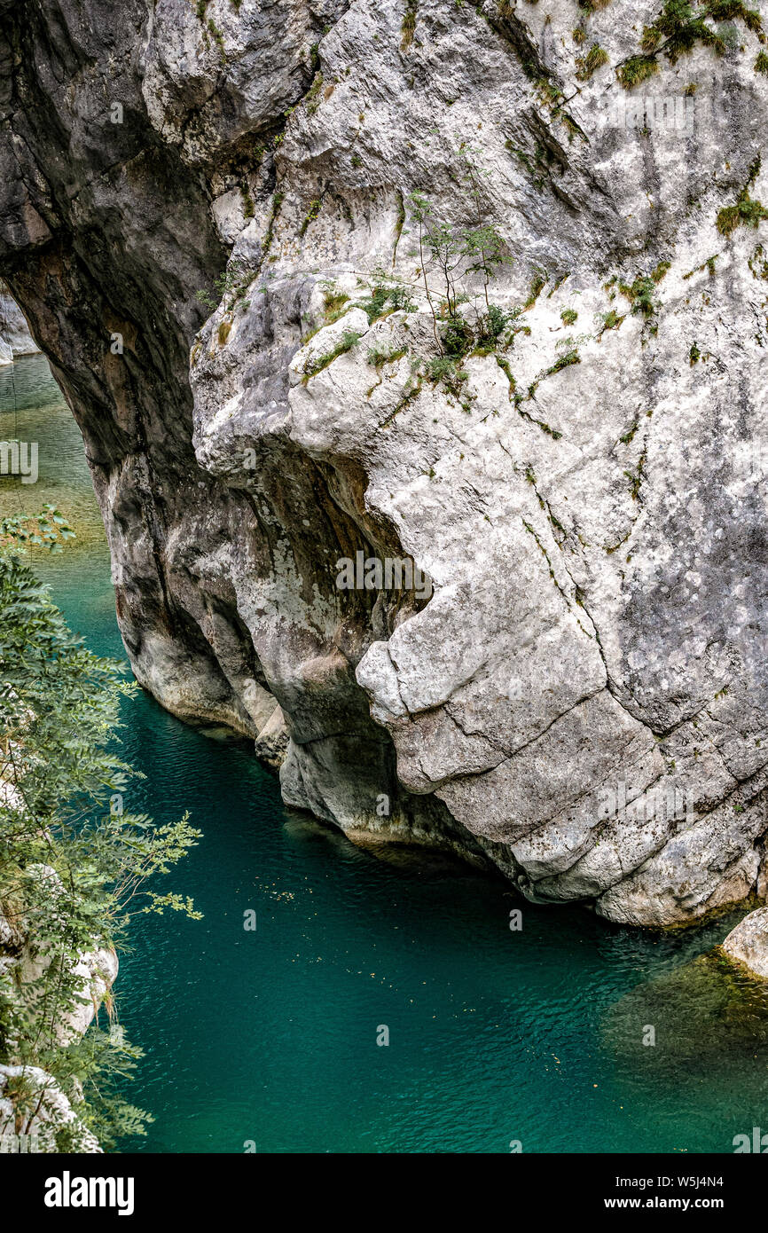 Italy Friuli Natural Reserve forraof the torrent Cellina Stock Photo