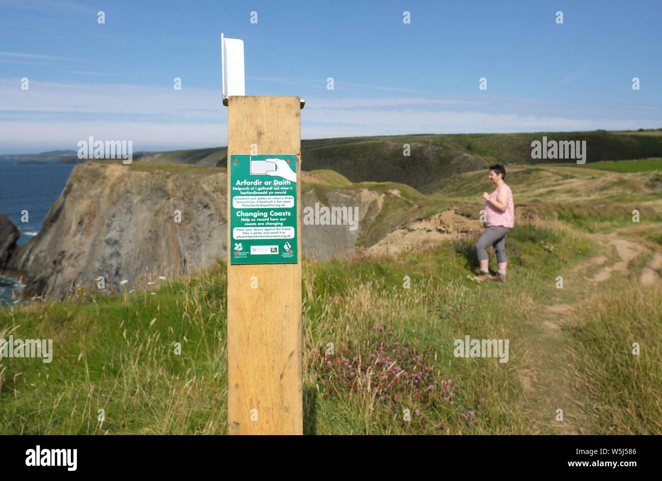 A female walker stops to admire the view beside a 'Changing Coasts' photo location post along the Pembrokeshire Coast Path, Wales in summer July 2019 Stock Photo