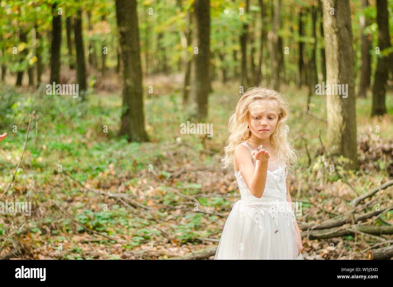one little girl in dress among autumnal trees in forest in golden hour atmosphere Stock Photo