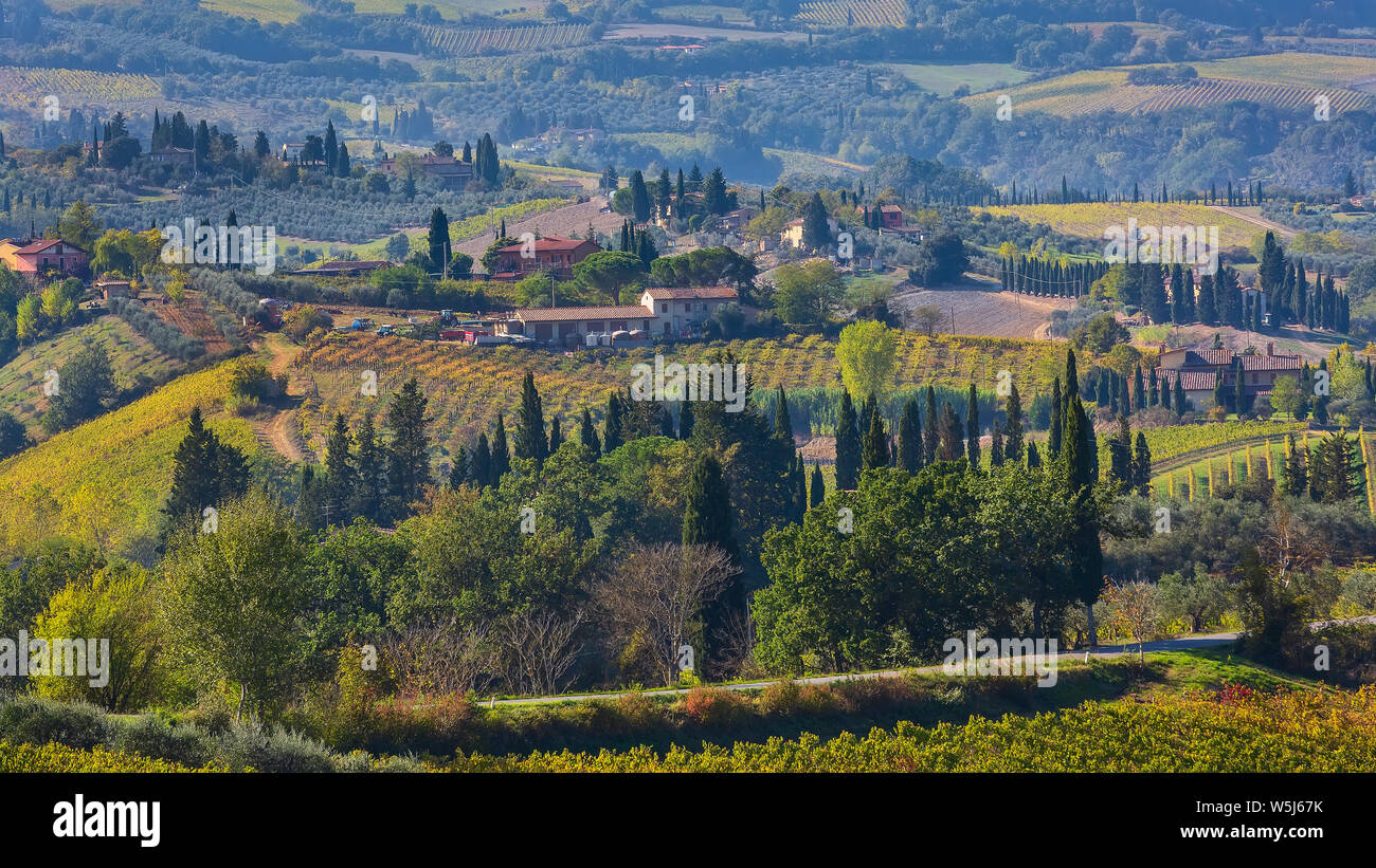 Tuscan panoramic banner landscape with vineyards, cypress trees, houses ...