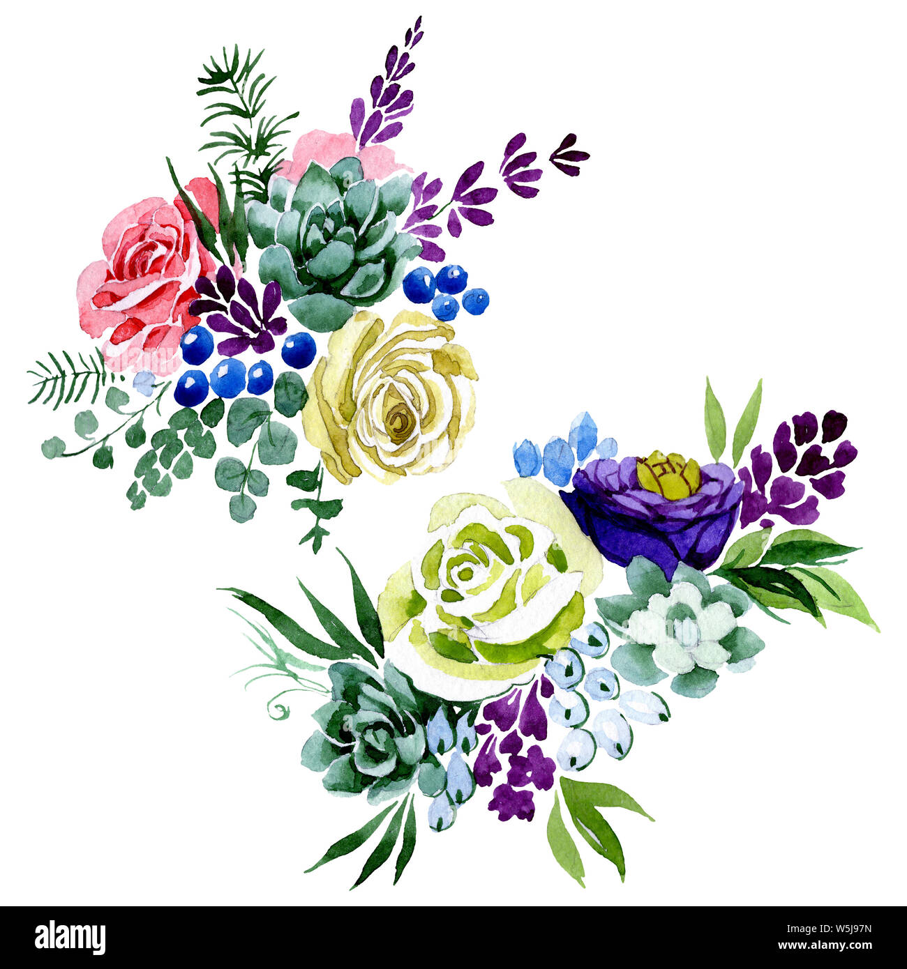 Bouquet floral botanical flowers. Watercolor background illustration ...