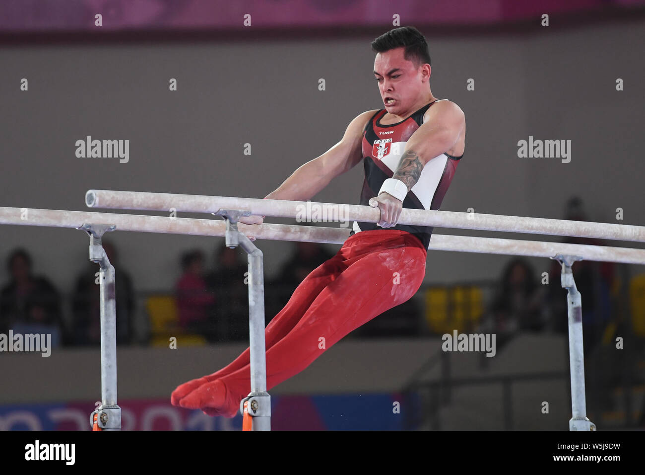 July 28, 2019, Lima, Peru: LUIS PIZARRO from Peru competes on the still rings during the team finals competition held in the Polideportivo Villa El Salvador in Lima, Peru. Credit: Amy Sanderson/ZUMA Wire/Alamy Live News Stock Photo