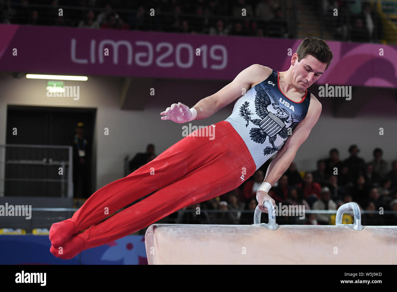 July 28, 2019, Lima, Peru: ROBERT NEFF from the US competes on the pommel horse during the team finals competition held in the Polideportivo Villa El Salvador in Lima, Peru. Credit: Amy Sanderson/ZUMA Wire/Alamy Live News Stock Photo