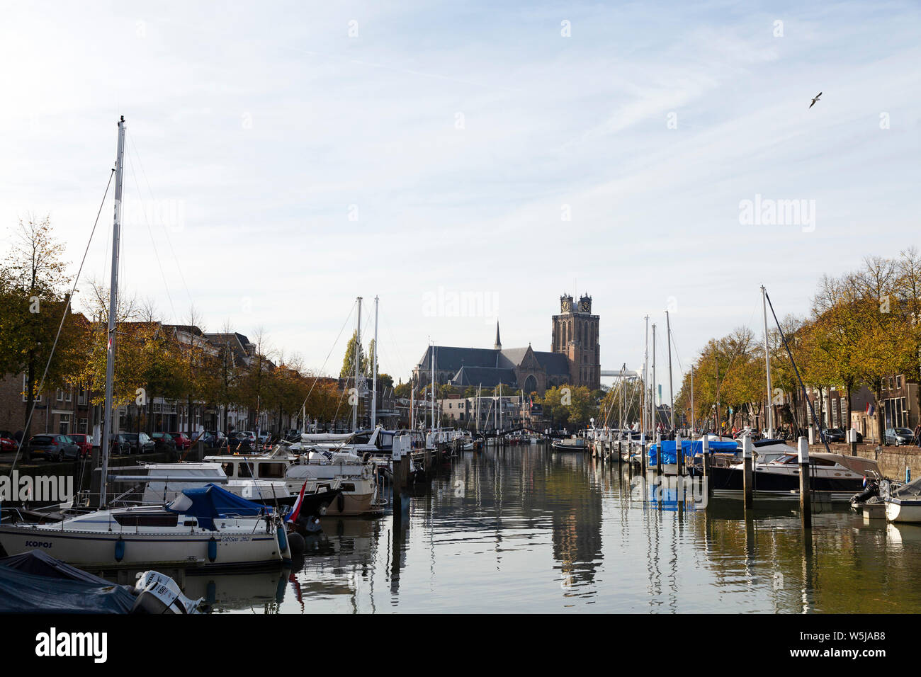 The Grote Kerk (Onze-Lieve-Vrouwe-Kerk) seen from the Nieuwe Haven in Dordrecht, the Netherlands. The church has a leaning tower. Stock Photo