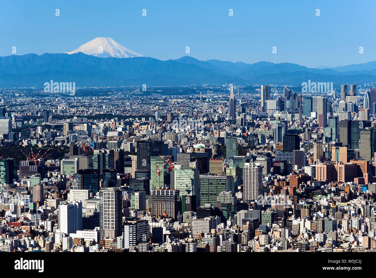 Mt. Fuji Tokyo Skyline Japan Cityscape Stock Photo