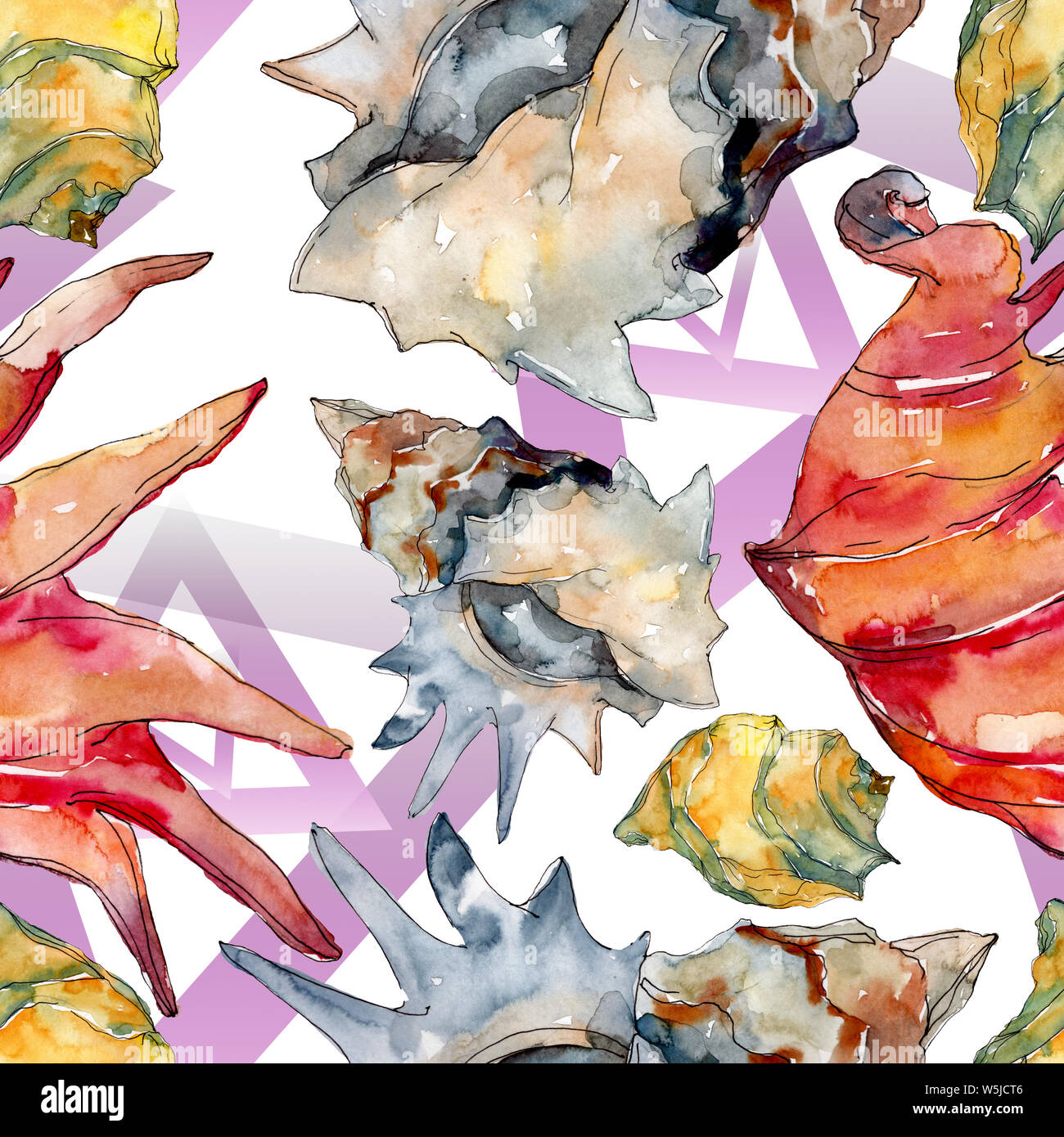 Summer beach seashell tropical elements. Watercolor illustration set ...