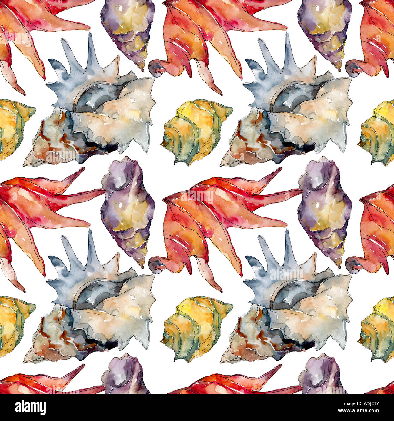 Summer beach seashell tropical elements. Watercolor illustration set ...