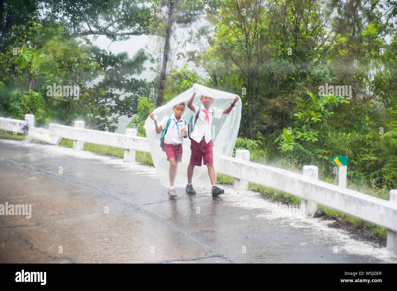 Two Cuban school boys walk through the rain holding a plastic tarp over their heads for cover Stock Photo