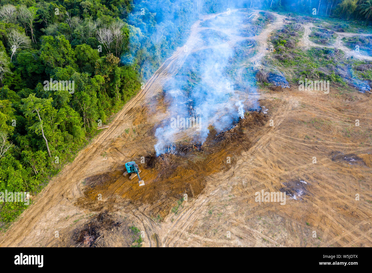 Birds eye view of tropical rainforest deforestation.  An earth mover removes trees which are then burnt Stock Photo