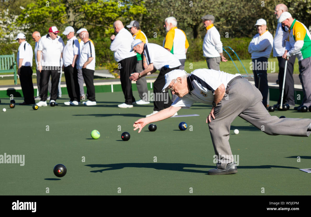 Elderly men playing lawn bowls/bowling, crown green bowling. UK Stock Photo