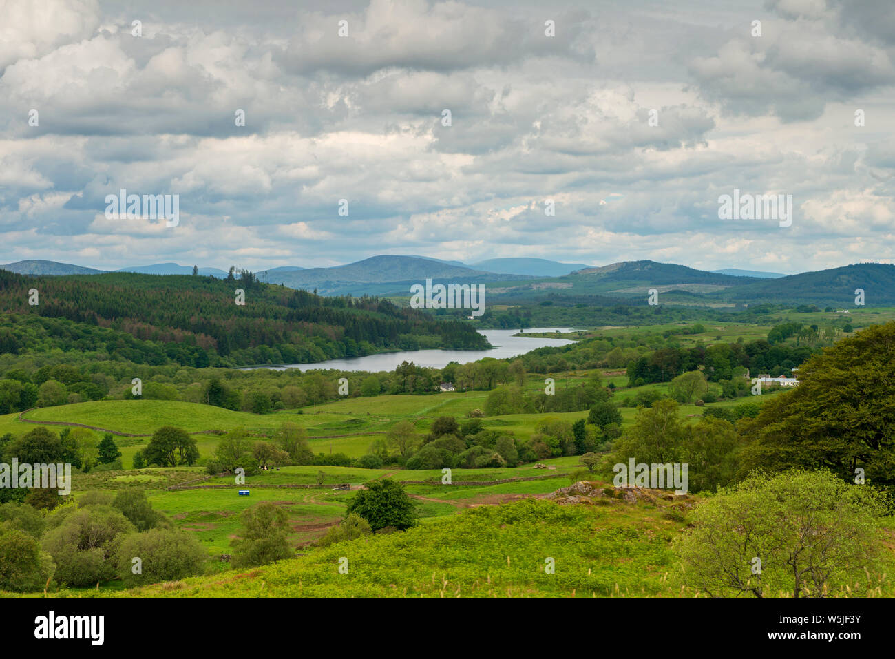 Loch Ken, Kirkcudbrightshire in Dumfries and Galloway. Scotland. Uk