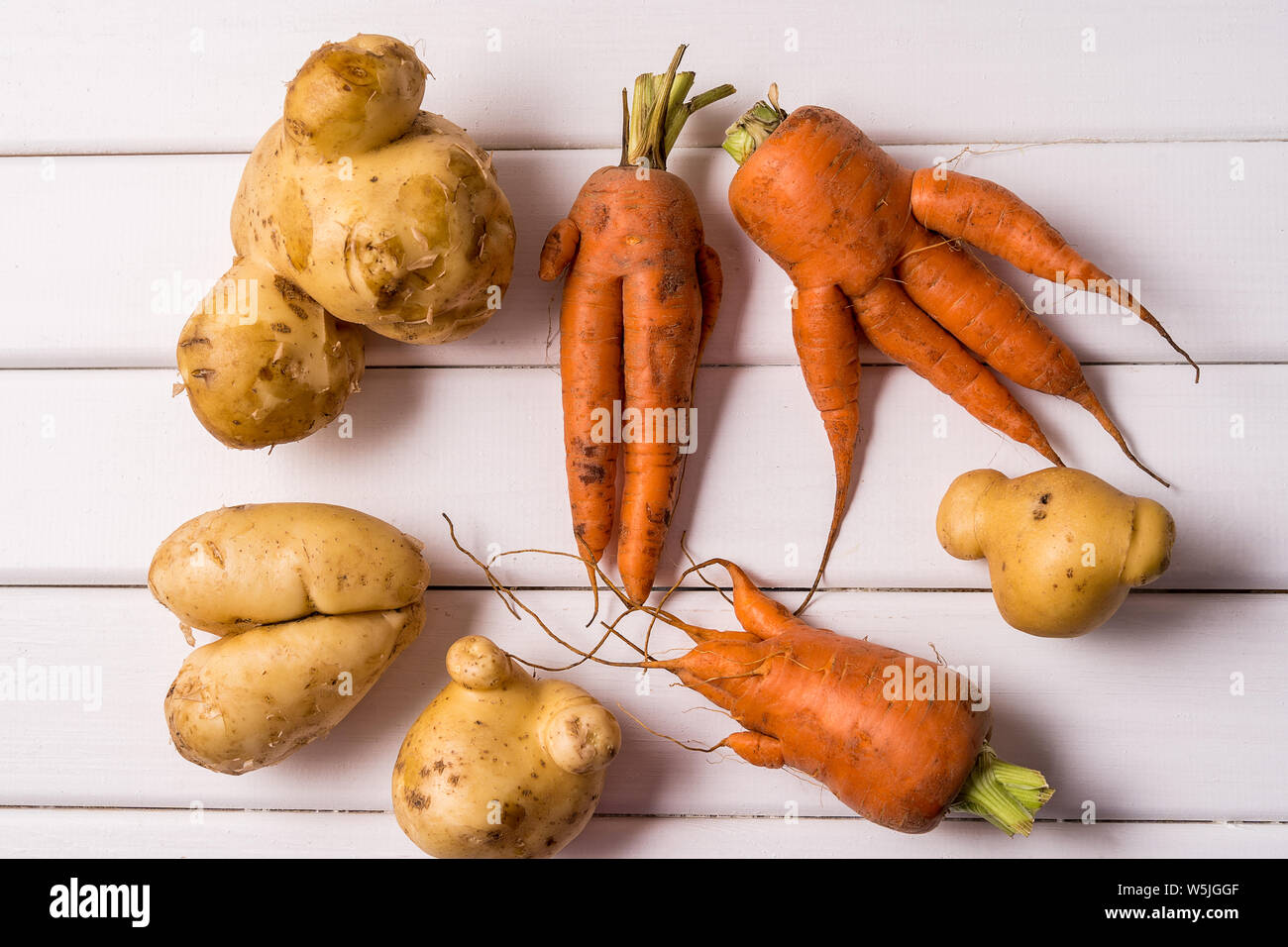 Flat lay Some ugly curved bent carrots and potato on white wooden background. Stock Photo