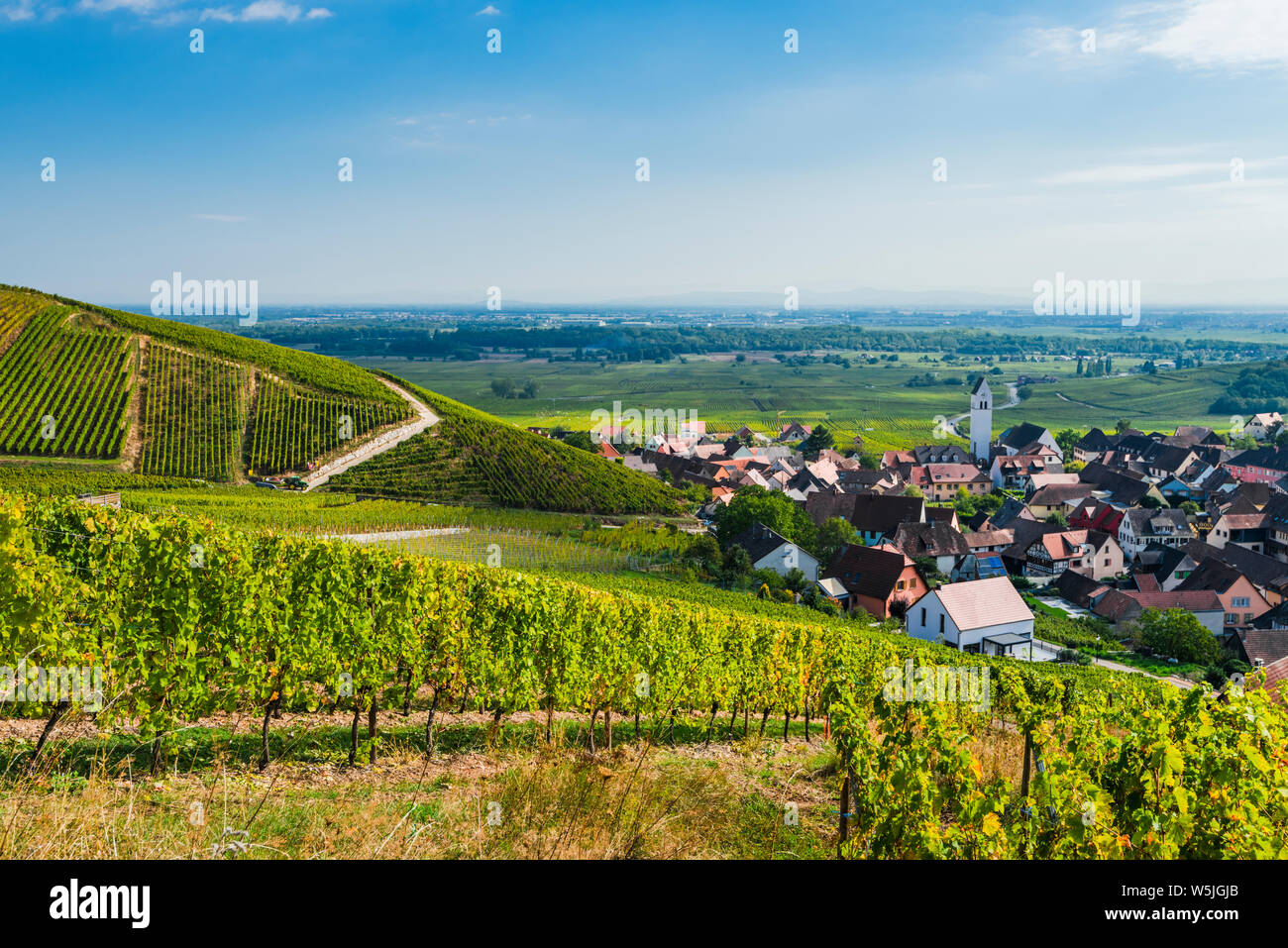 village Katzenthal with vineyards, Alsace, France, view to the Upper Rhine valley Stock Photo
