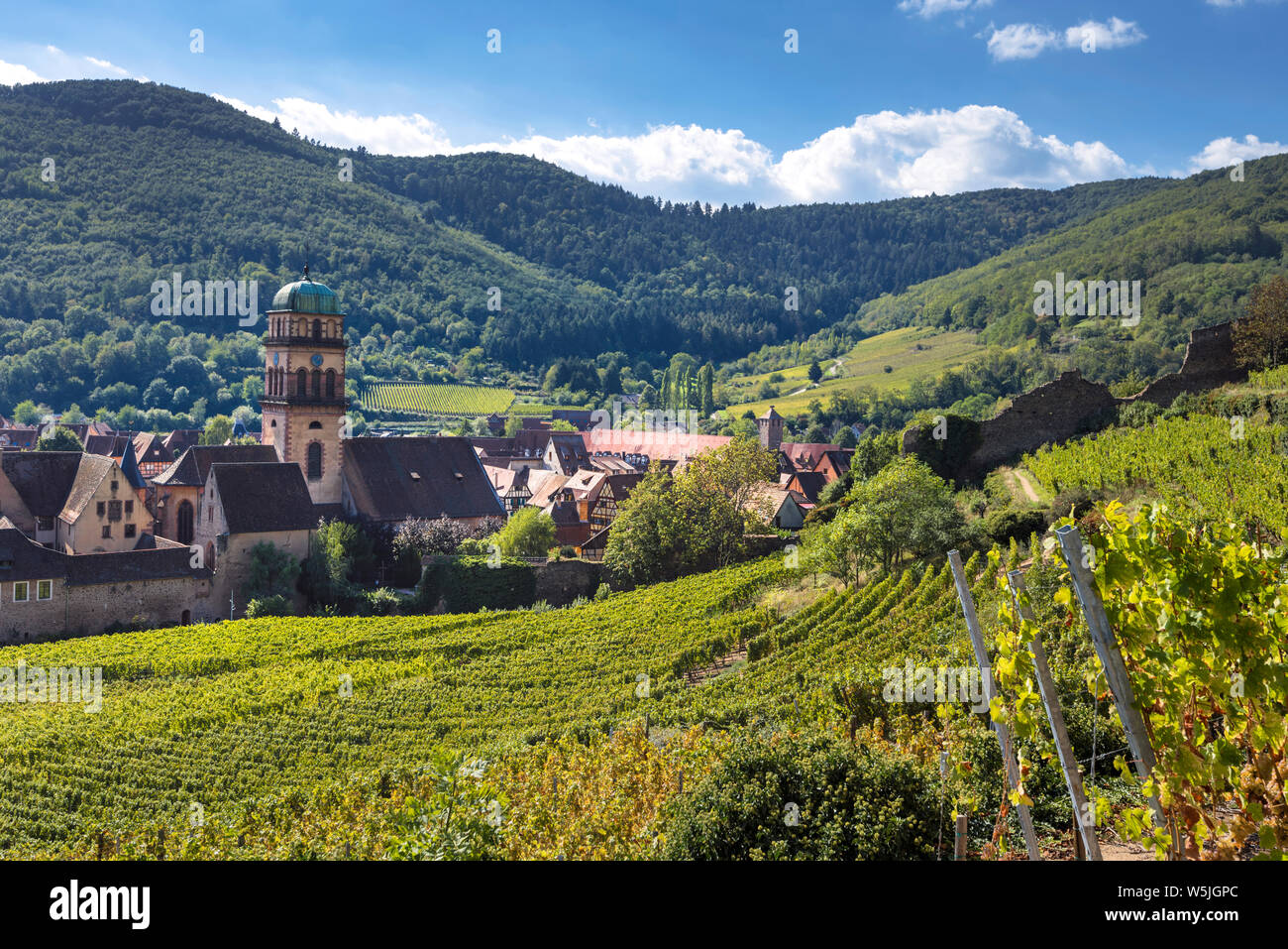 town Kaysersberg embedded between vineyards, Alsace Wine Route, France, at the foothills of the Vosges mountains Stock Photo
