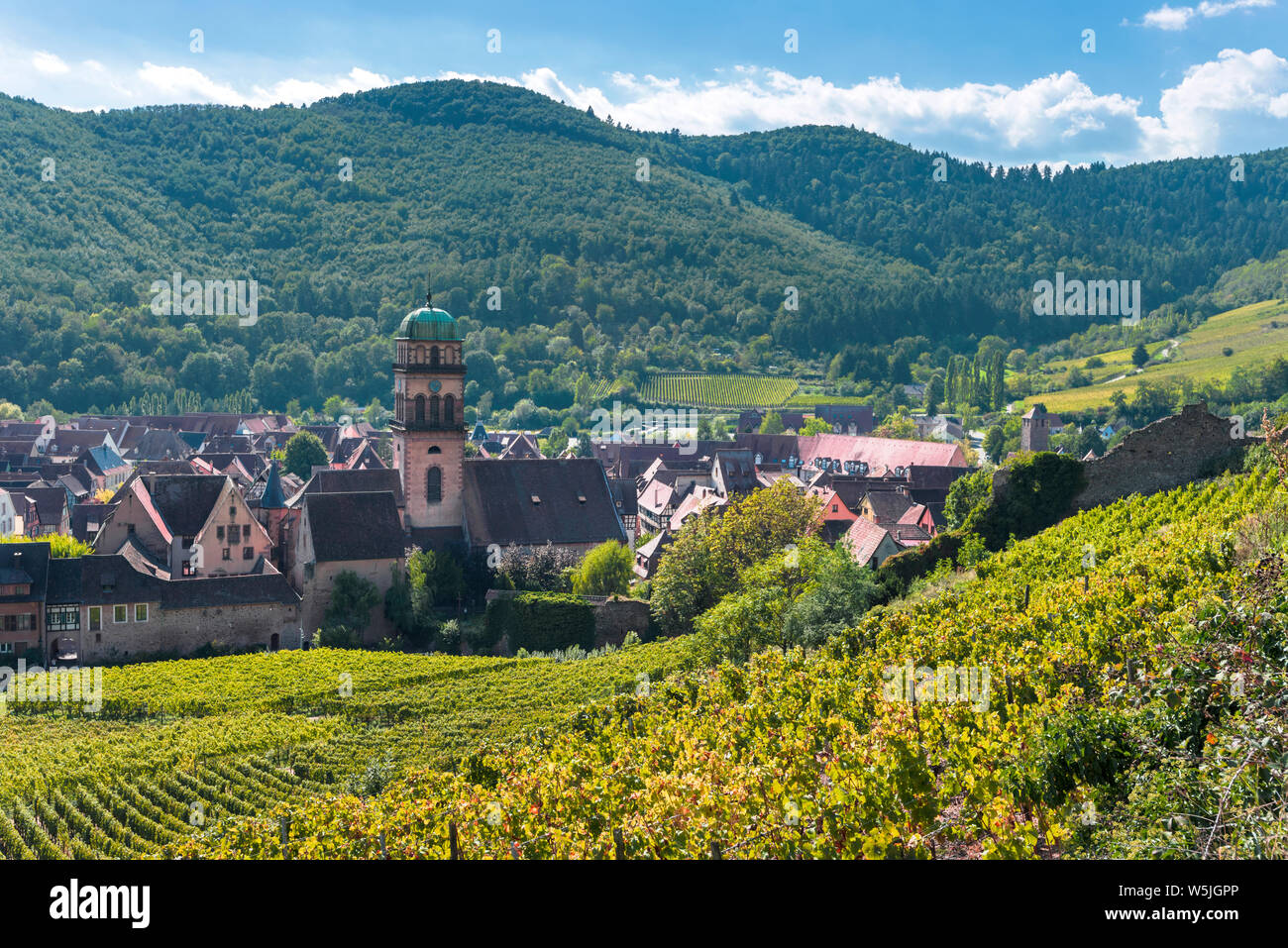 town Kaysersberg, Alsace Wine Route, France, surrounded by vineyards and Vosges mountains Stock Photo