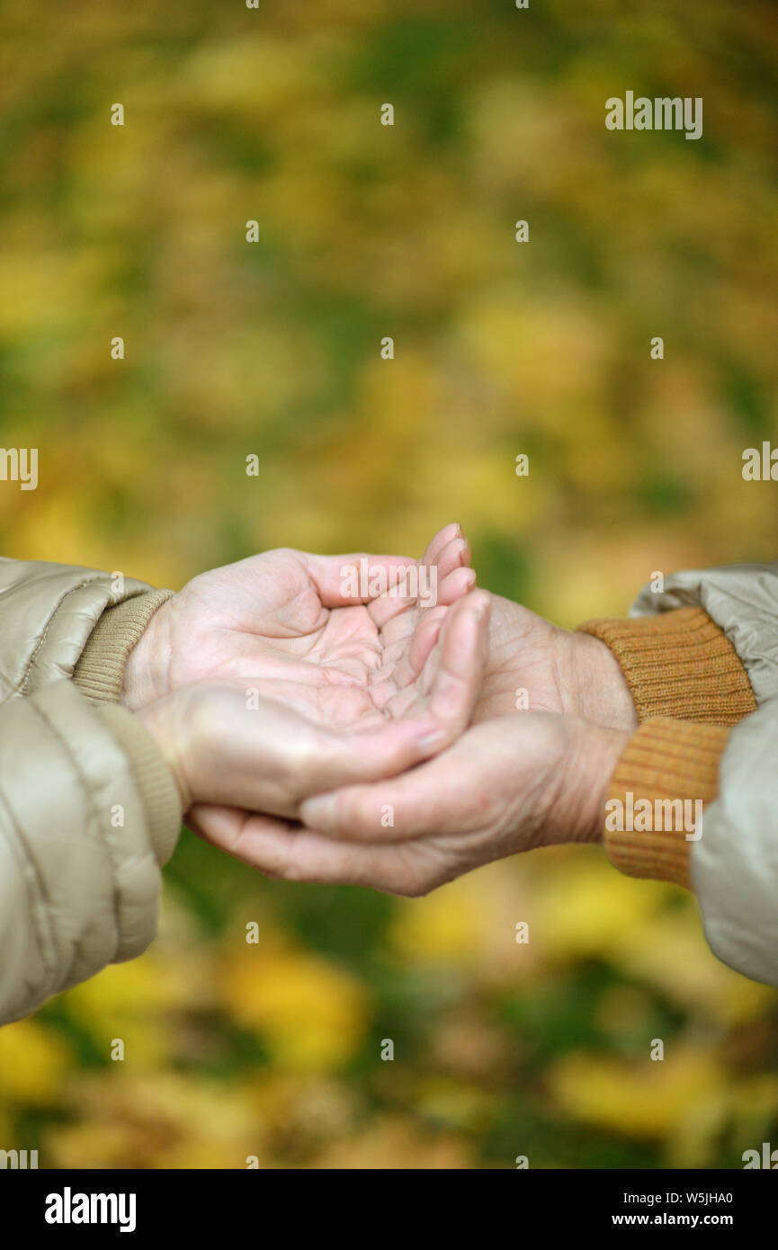 Elderly couple holding hands in autumn park Stock Photo - Alamy