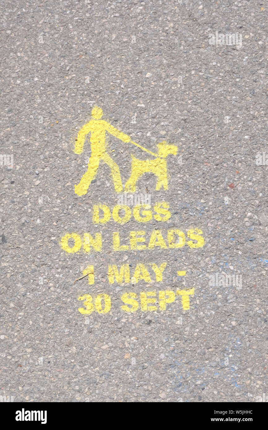 Yellow stencilled sign on Bognor Regis promenade advising dog owners to keep their dogs on a lead from May to September. Stock Photo