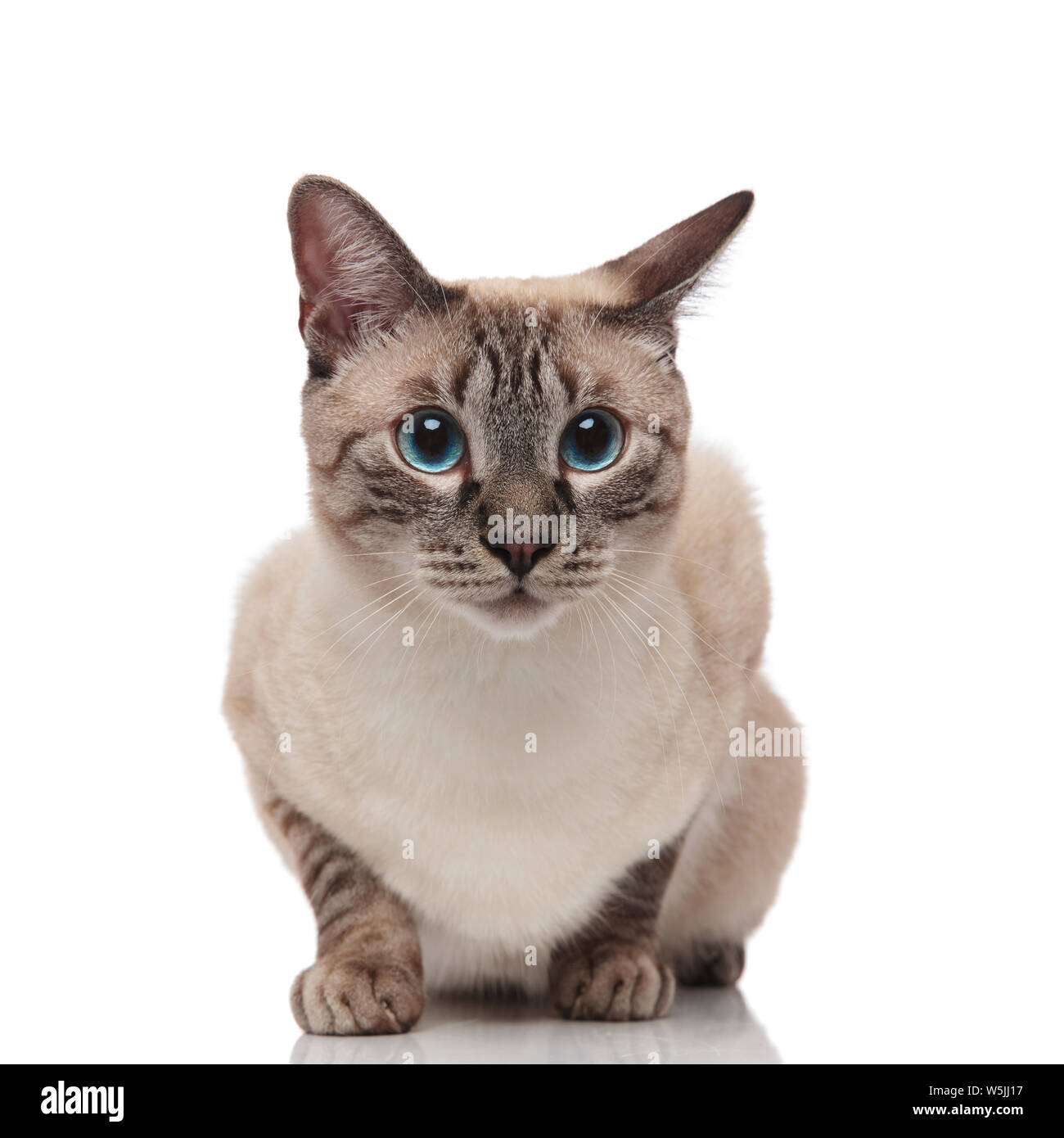 My Image 30