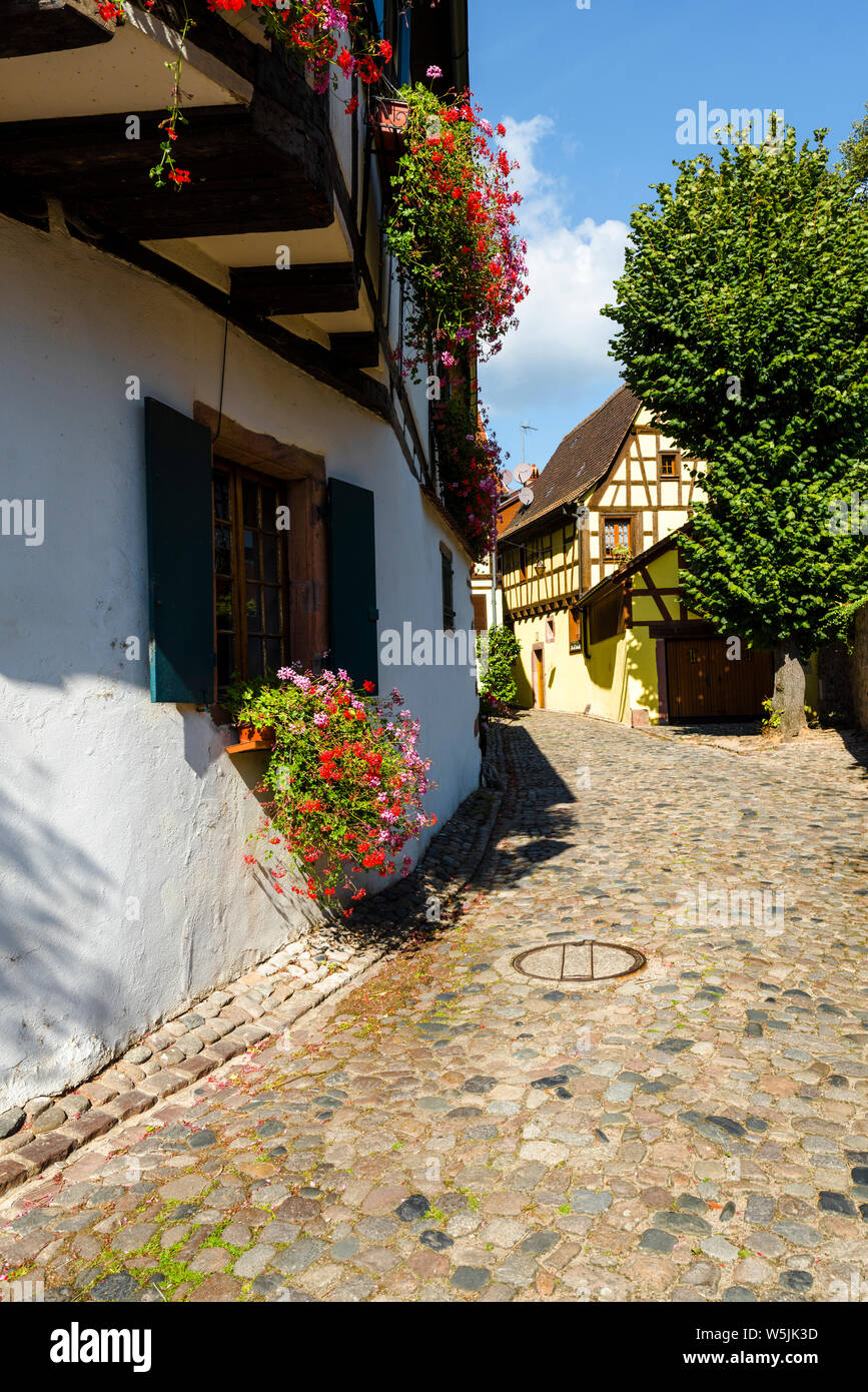 scenic lane with timbered architecture in the old town of Kaysersberg, Alsace Wine Route, France, colorful medieval houses, touristy destination Stock Photo
