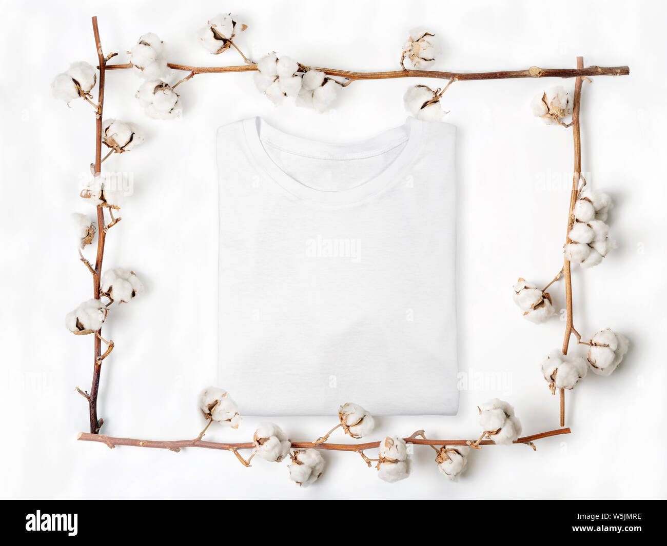 Blank folded t-shirt within a frame made of cotton flowers on white background. Flat lay Stock Photo