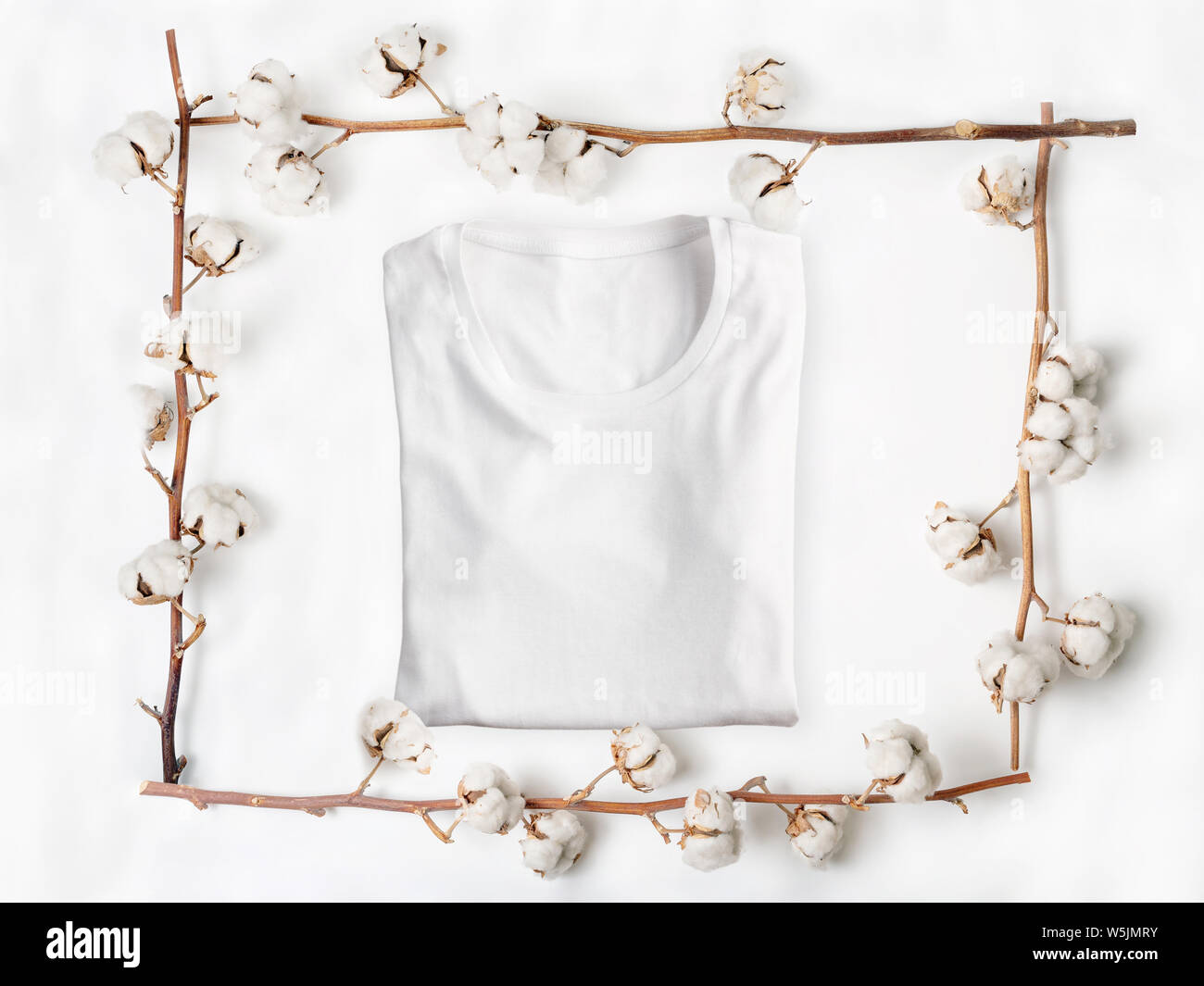 Flat lay of white folded t-shirt with cotton flower branches on white background Stock Photo