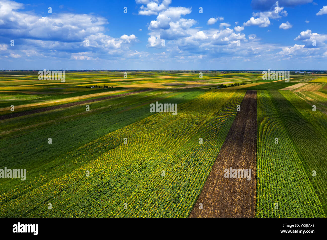 Aerial view of cultivated agricultural fields in summer, beautiful ...