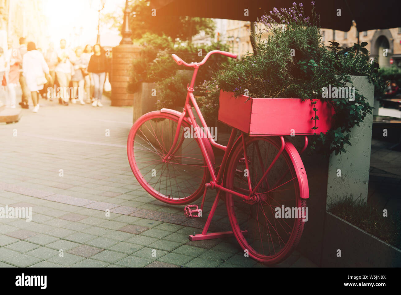 Pink bike and a crowd of tourists on the street in the rays of the evening sun. Stock Photo