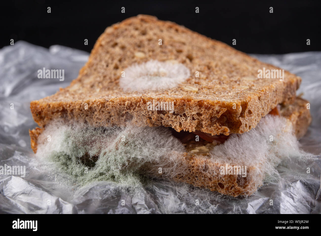 Moldy sandwich hires stock photography and images Alamy