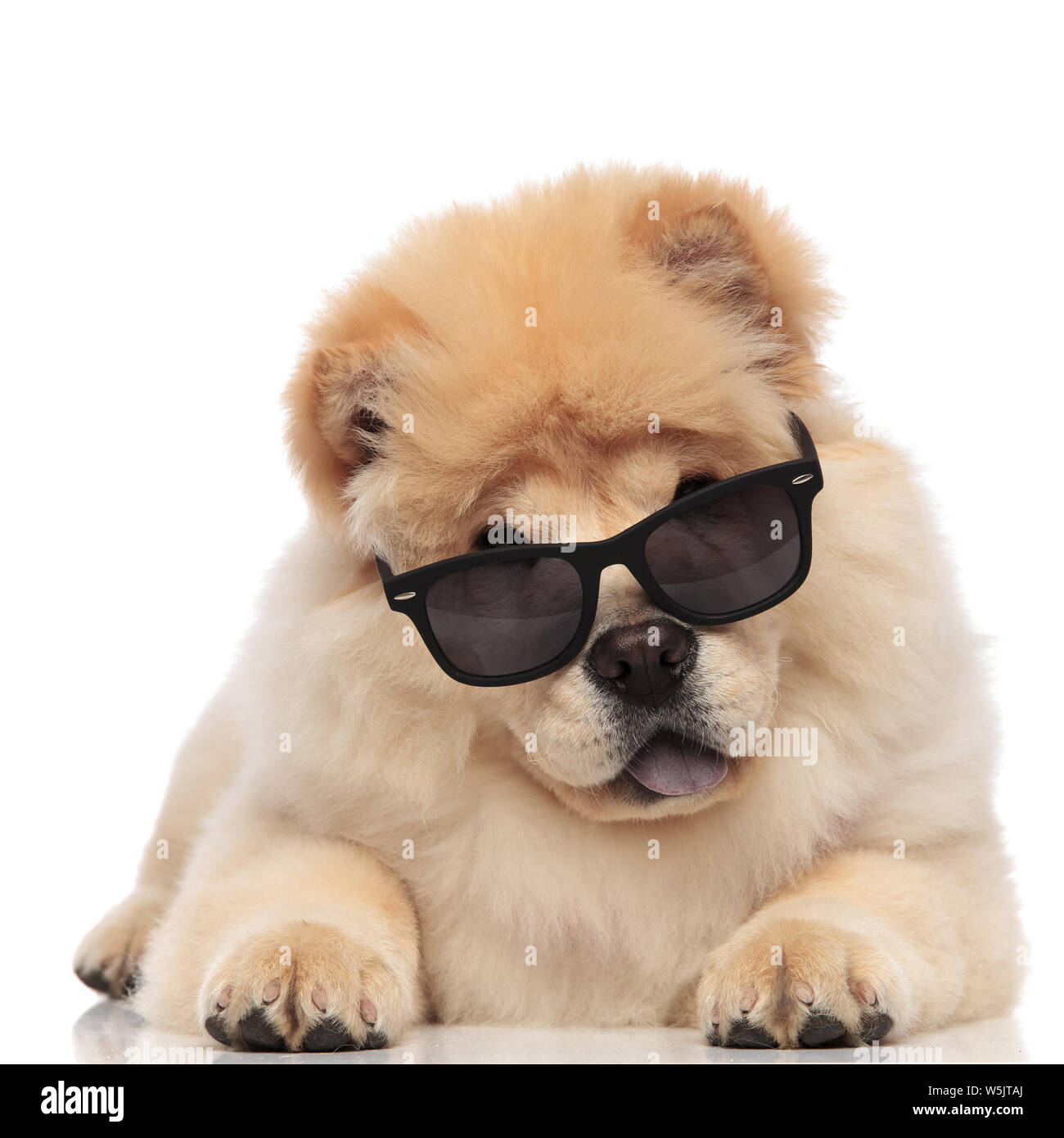 Chow Chow Pants Chow Chow Pants
