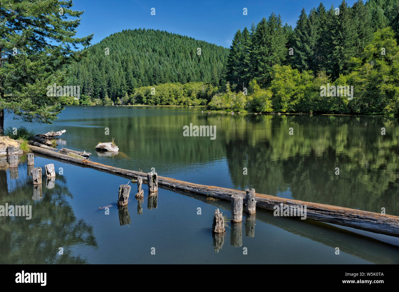 <OR: Lane County, Coast Range, Hult Reservoir, surrounded by the mountains of Oregon's Coast Range Stock Photo