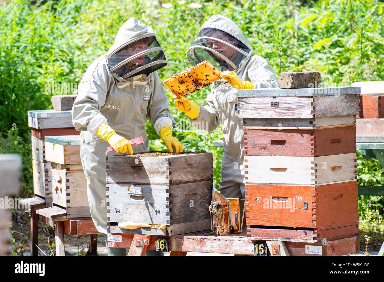 Cala Homes Midlothian Bursary, Newbattle Beekeepers Myriam Baete and Maggie Lyons Stock Photo